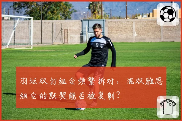 羽坛双打组合频繁拆对，混双雅思组合的默契能否被复制？