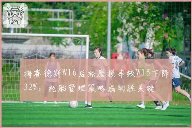 梅赛德斯W16后轮磨损率较W15下降32%，轮胎管理策略成制胜关键