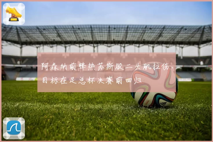 阿森纳前锋热苏斯股二头肌拉伤,目标在足总杯决赛前回归