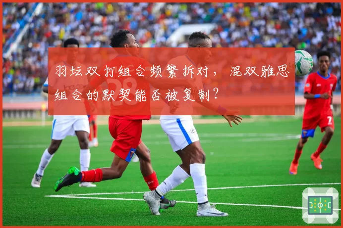 羽坛双打组合频繁拆对，混双雅思组合的默契能否被复制？